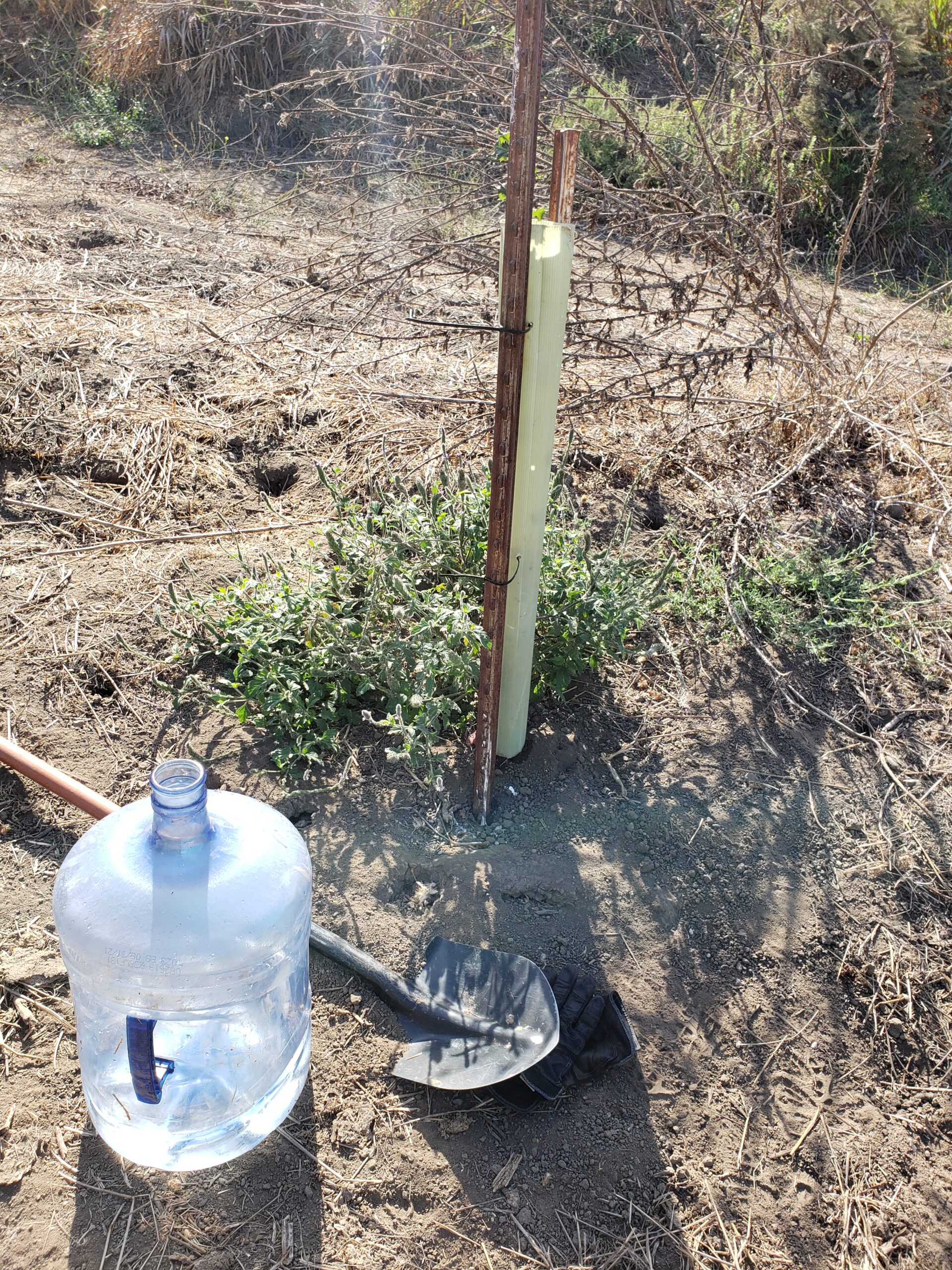 5 Gallon Water Jug and Supplies