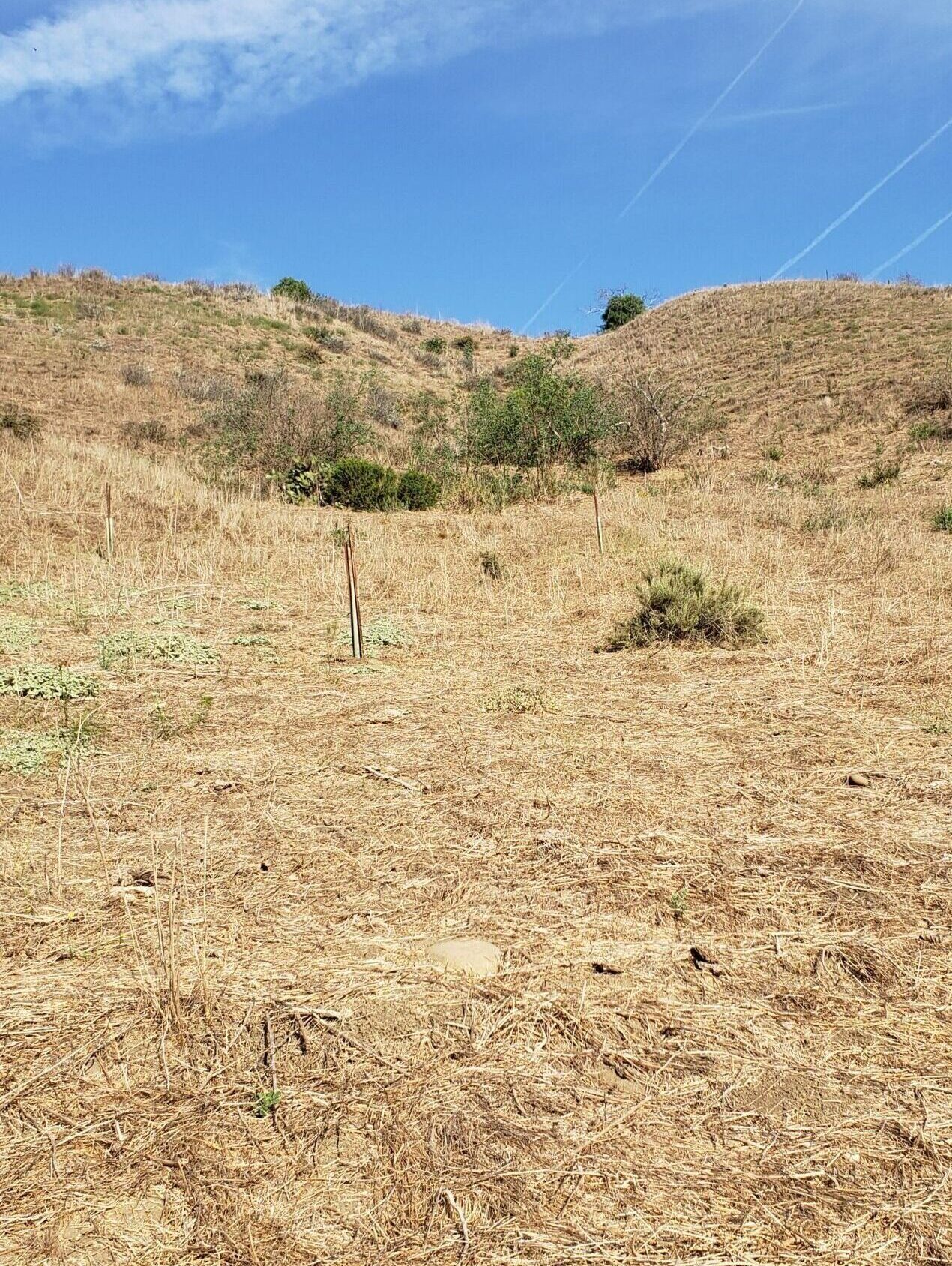 Corral Upslope Overview