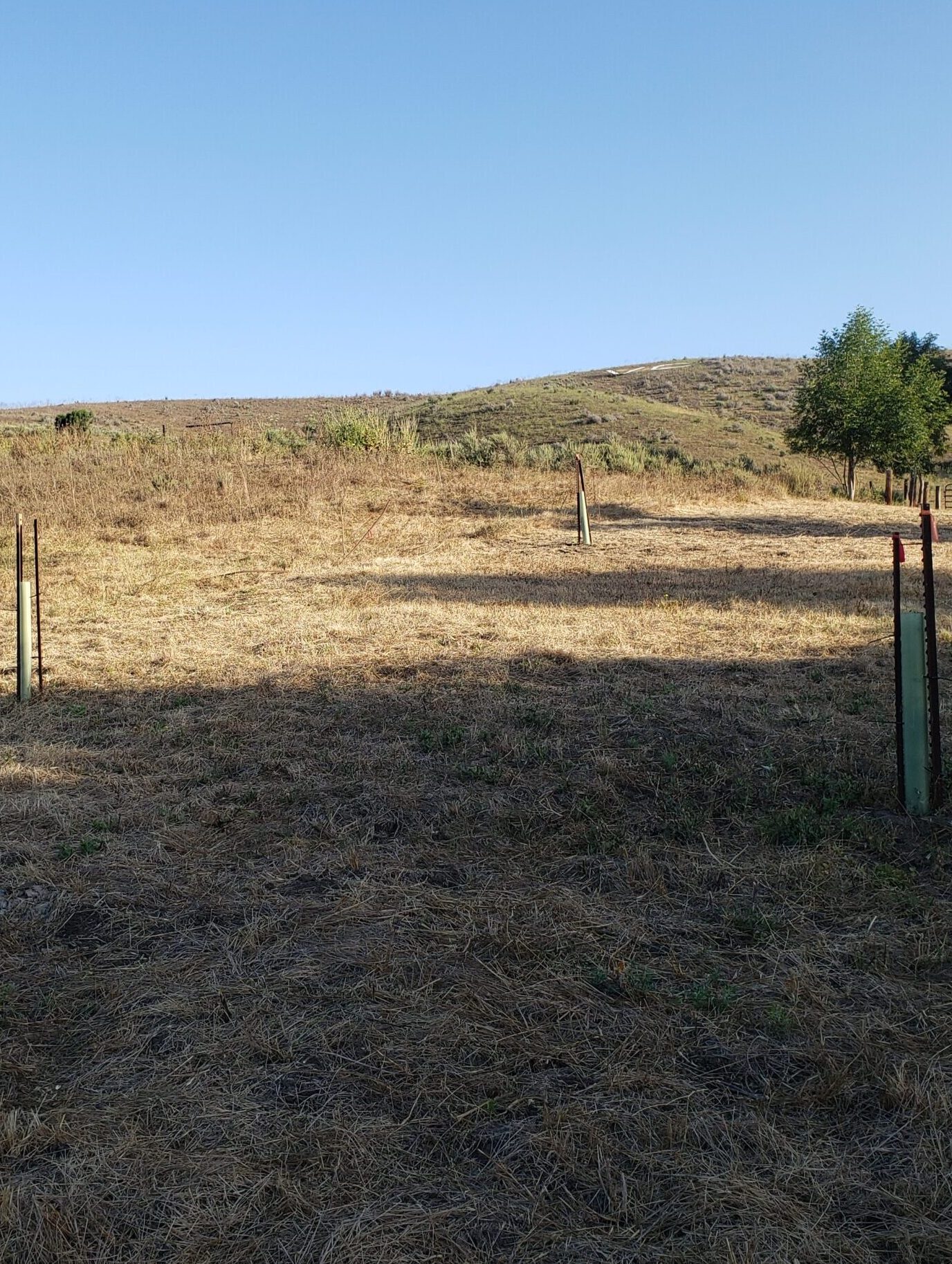 Hayfield Entrance Overview