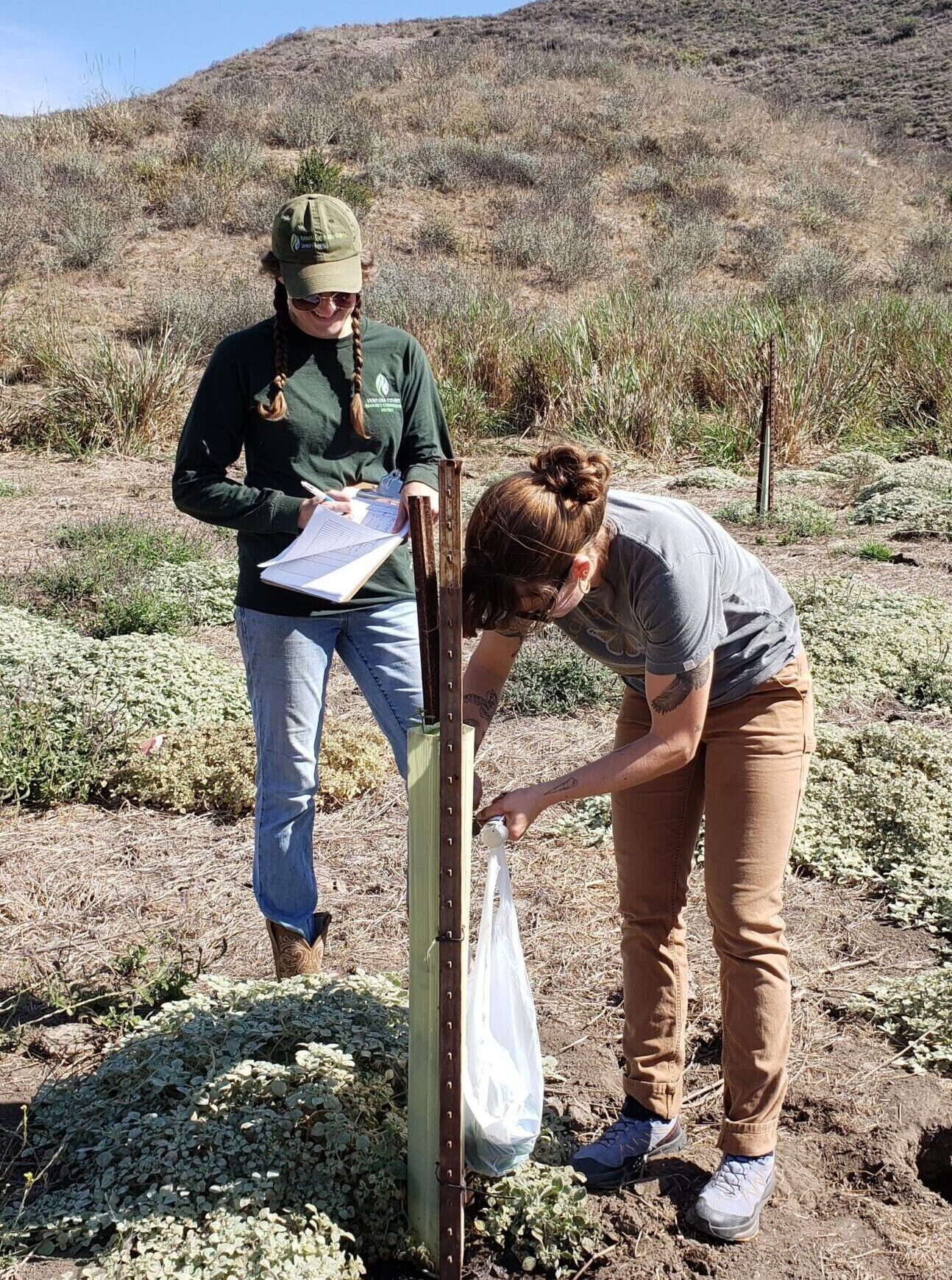 Tree Monitoring and Tagging