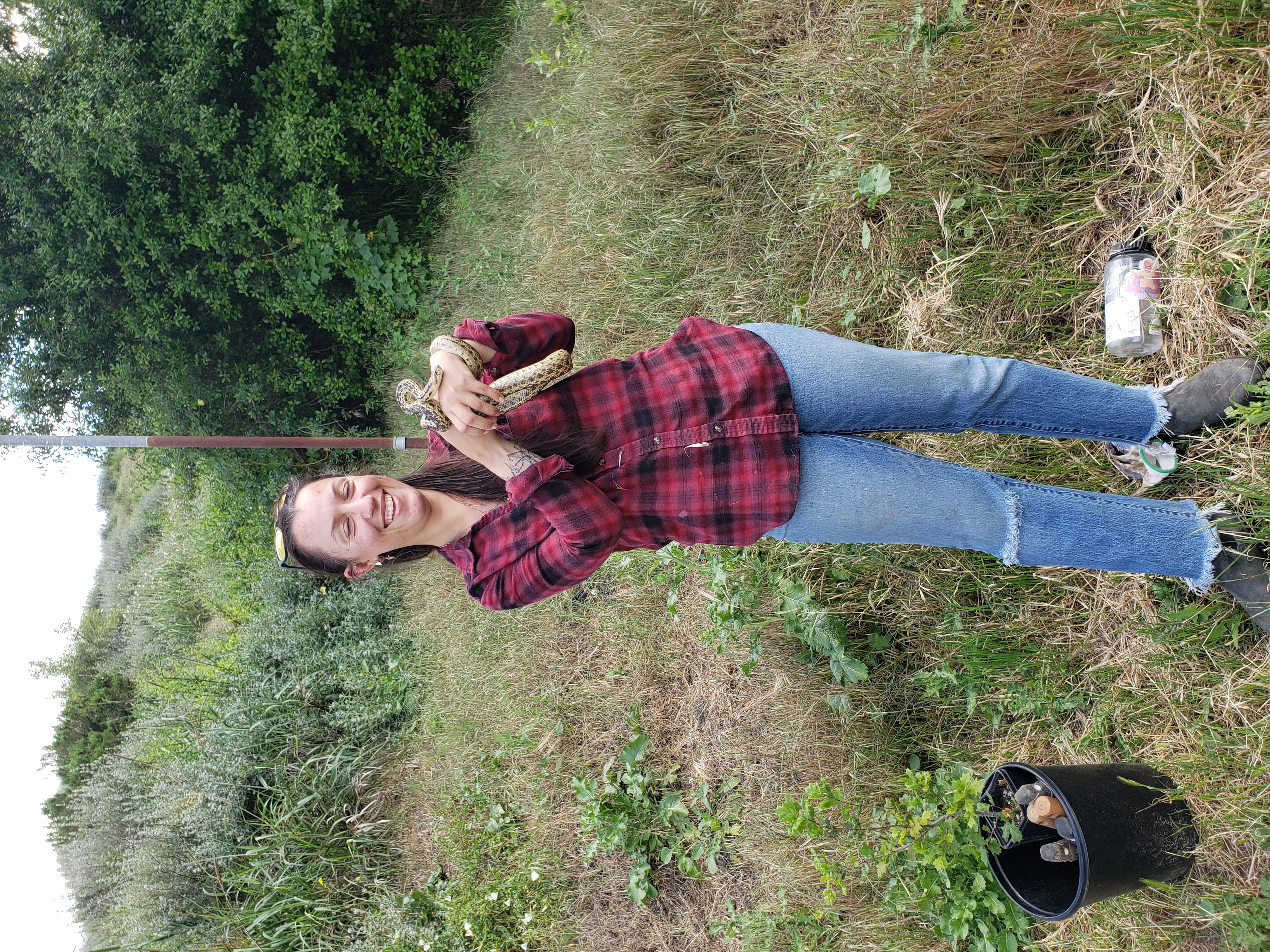 Planter holding a gopher snake
