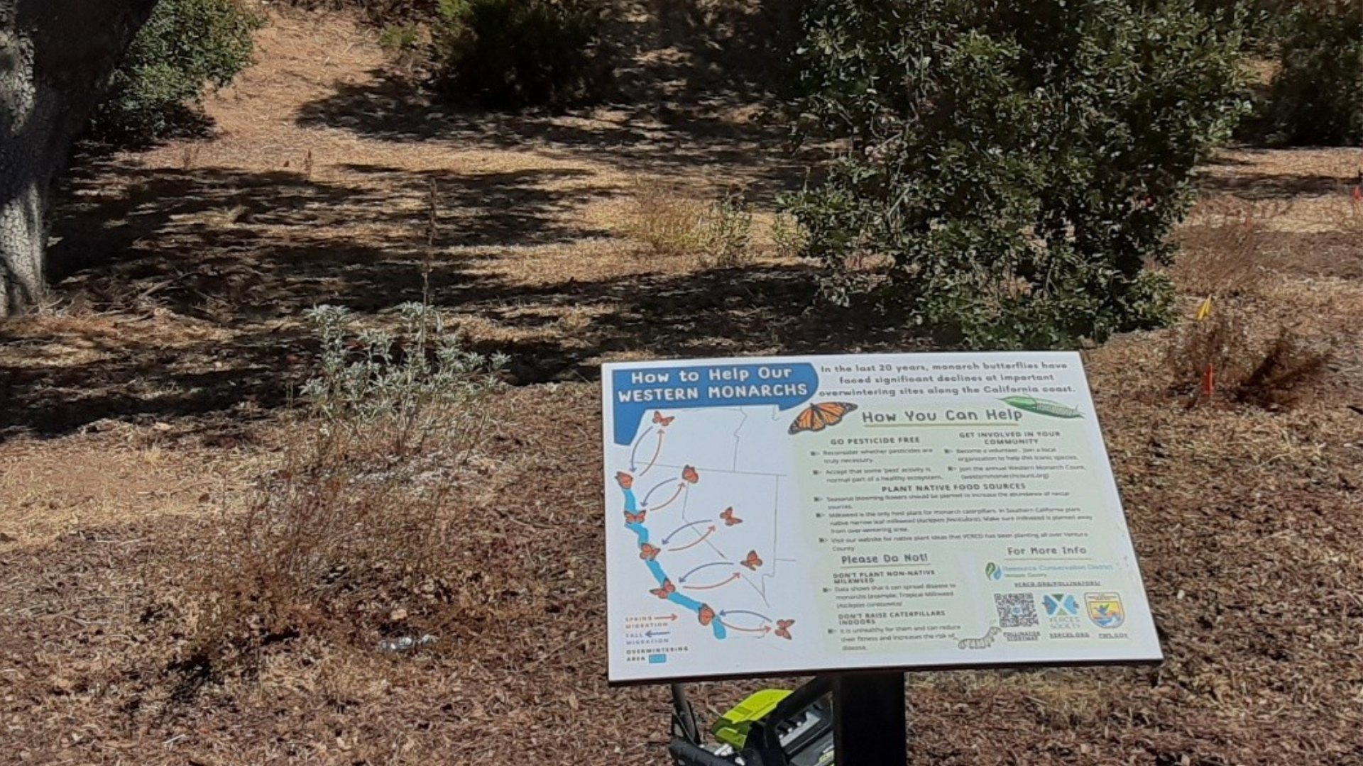 Infographic Signs
