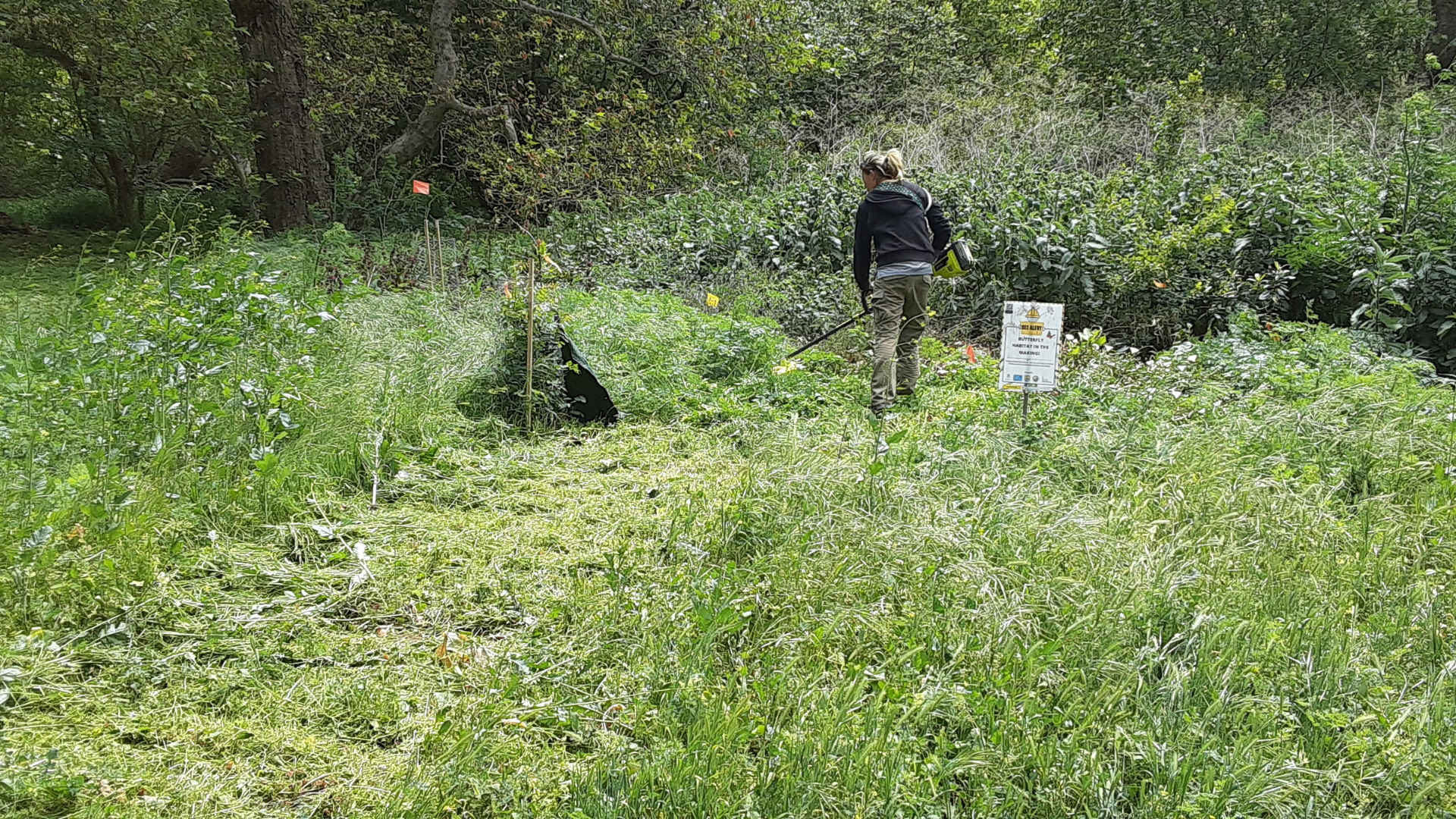 Weed Whacking