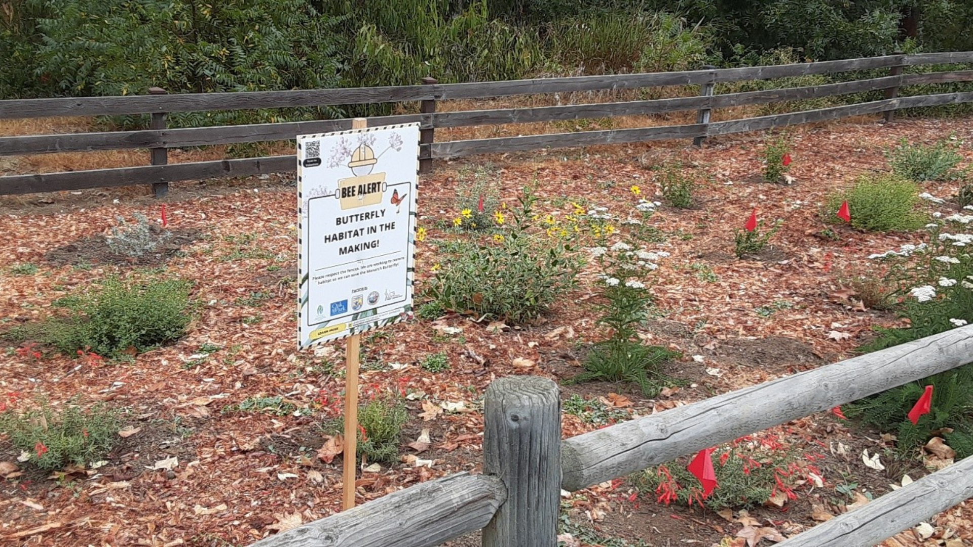 Infographic Sign