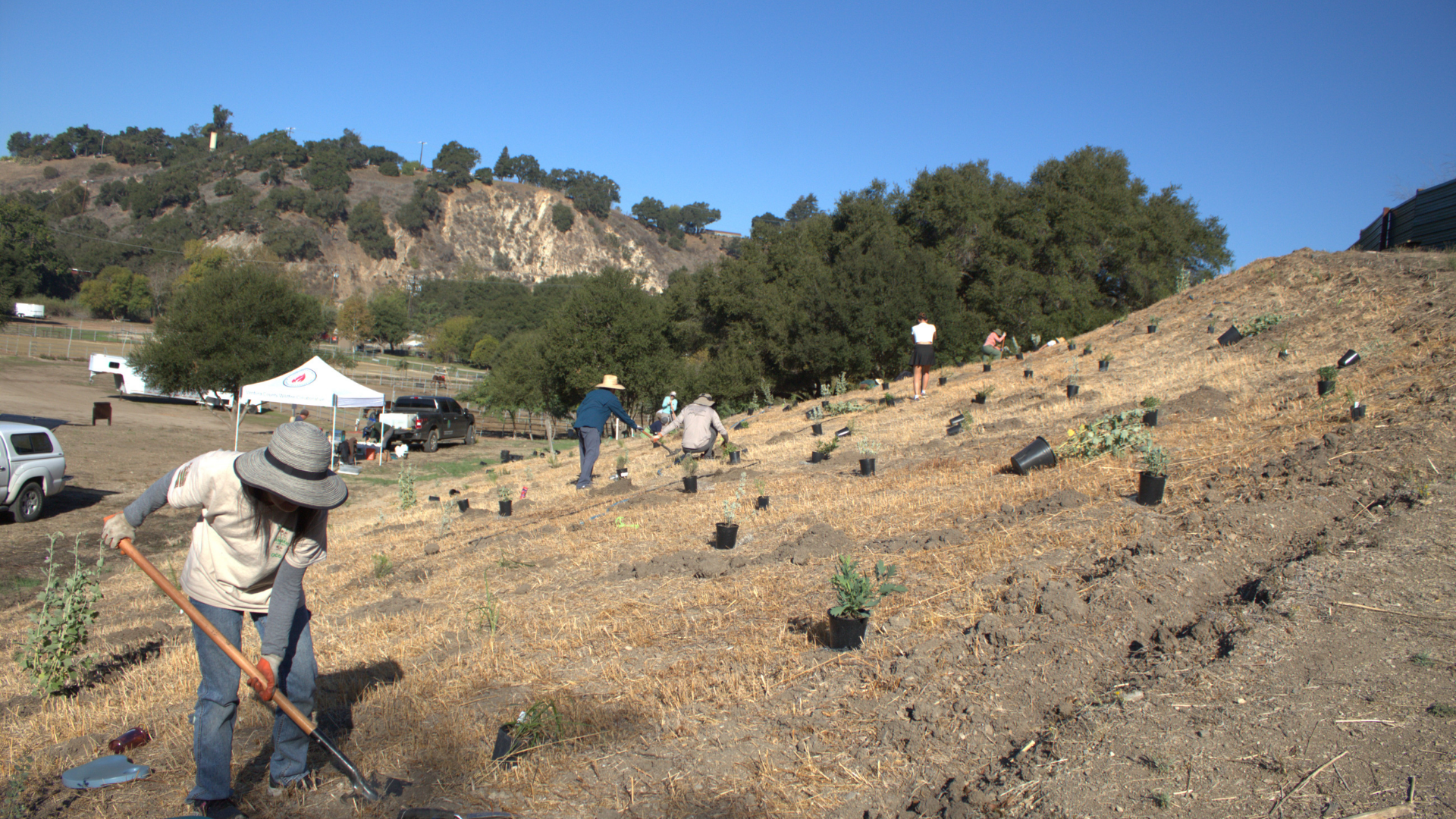 November 1st Planting Day