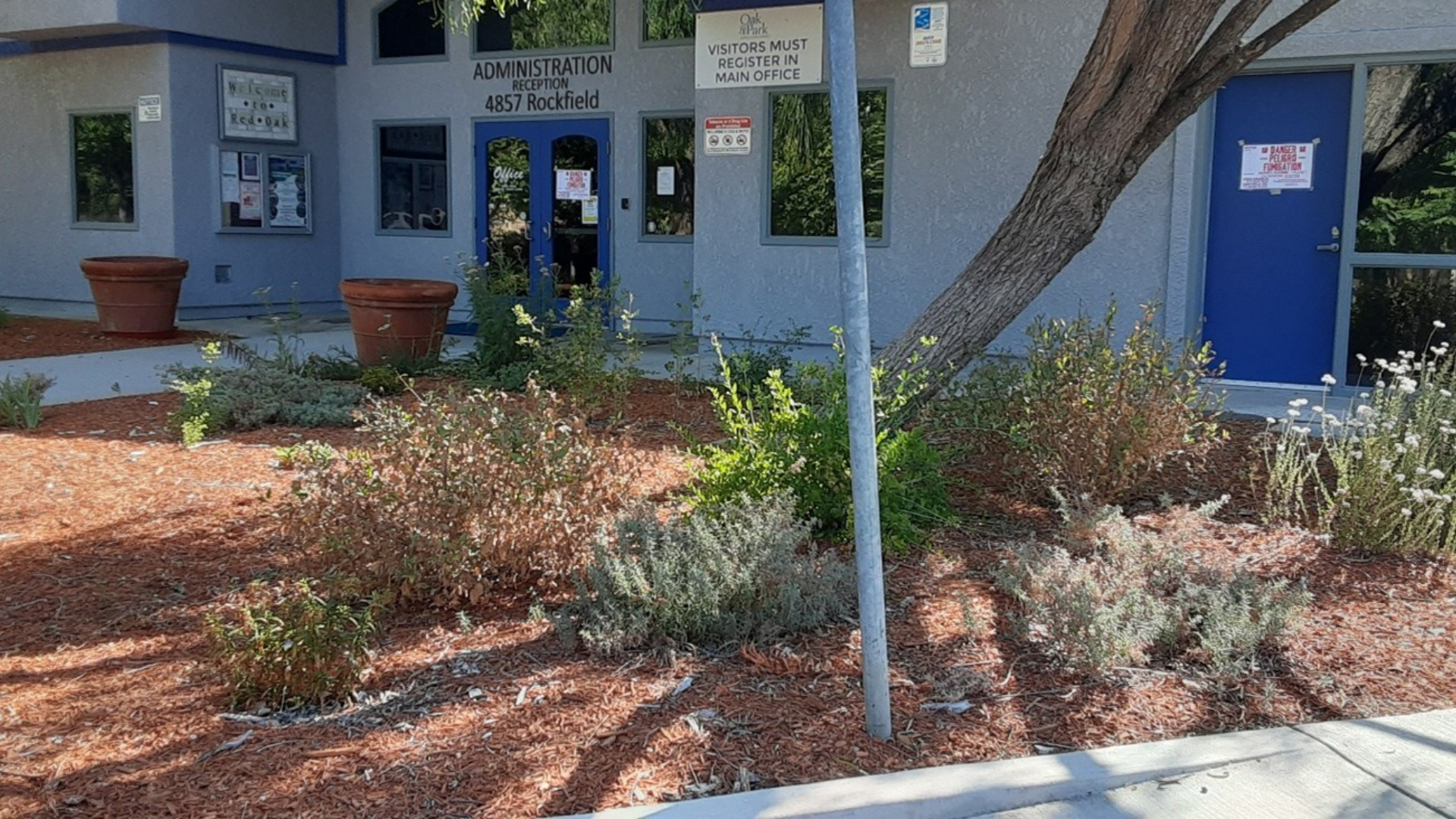 OPUSD Native Plants