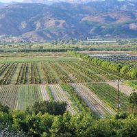 landscape image of agriculture field